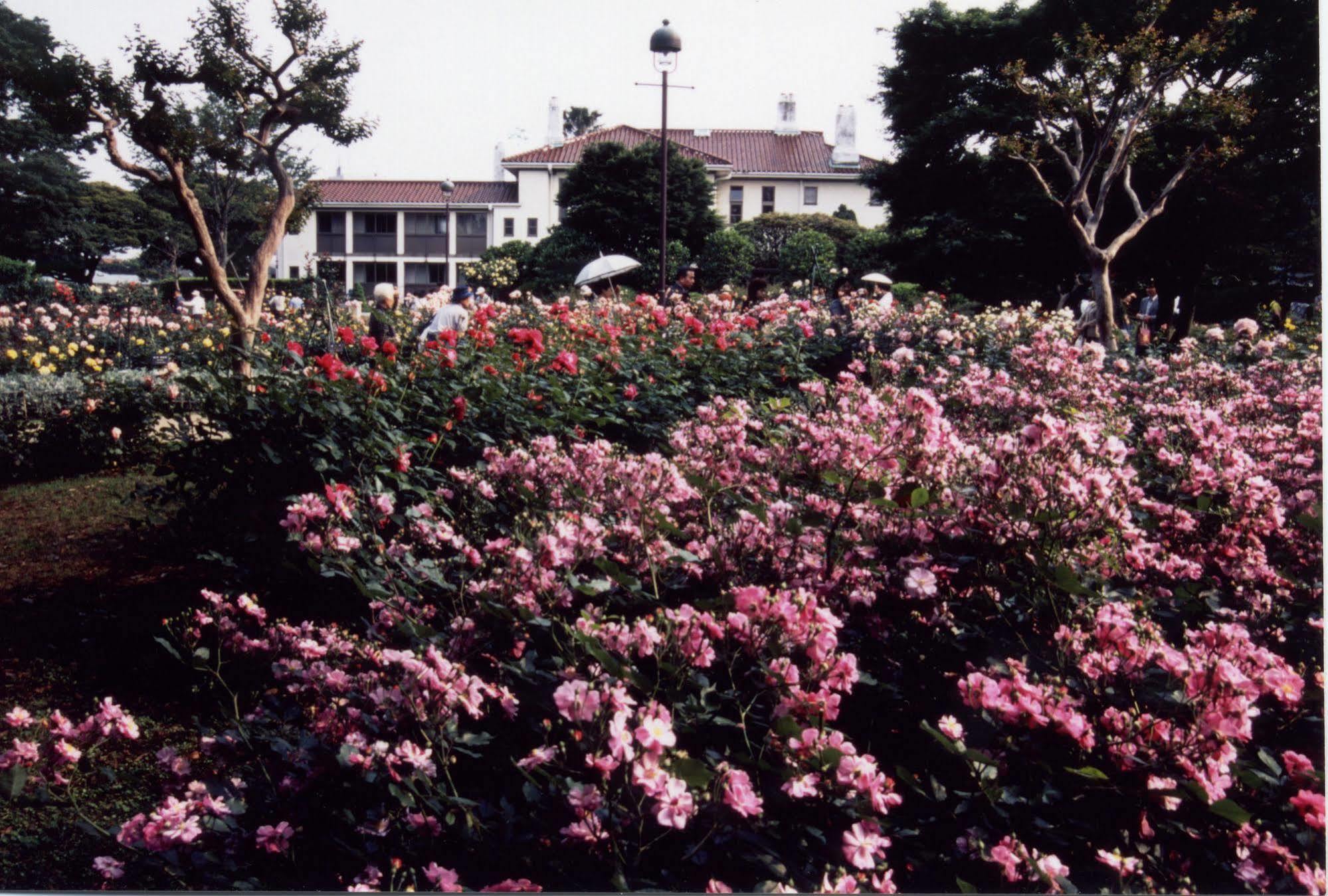 Sotetsu Fresa Inn Yokohama Totsuka Buitenkant foto